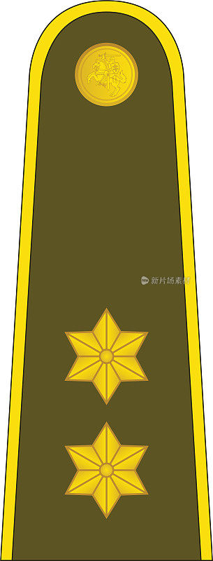 立陶宛VYRESNYSIS LEITENANTAS(高级中尉)的肩垫军官徽章